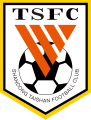 Shandong Taishan logo used since 2022