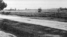 A narrow road passes in front of a farm field. A fence lies behind it, and farmland behind that. The farm field is full of tree stumps.