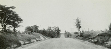 A barren road passes through nothingness, trees dot the side of the road