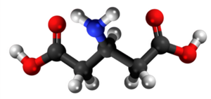 β-glutamata acido