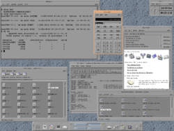 Kuvakaappaus OpenVMS-version 7.3-1 DECwindows CDE "New Desktop" -työpöytäympäristöstä. Ylhäällä vasemmalla pääteikkuna, jossa käytössä DCL-komentotulkki.