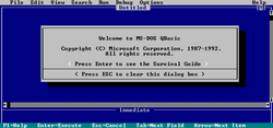 QBasic 1.1