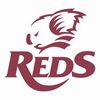 Logo du Queensland Reds