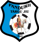 Logo du CS Pandurii Târgu Jiu