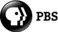 Logo keenam PBS (2009-2019)