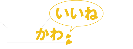 おバかわいいね！写真館