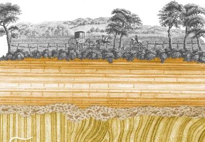 Hutton's Unconformity