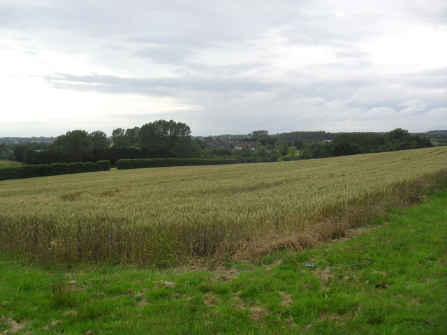 File:Farmland near Westwell - geograph.org.uk - 3040942.jpg