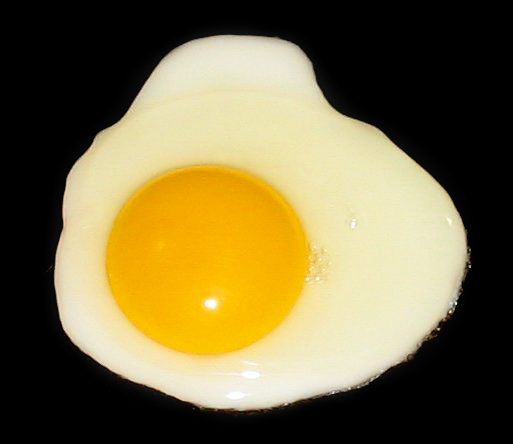 File:Fried egg, sunny side up.jpg