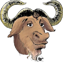 File:Gnu-color-reiss-head.png