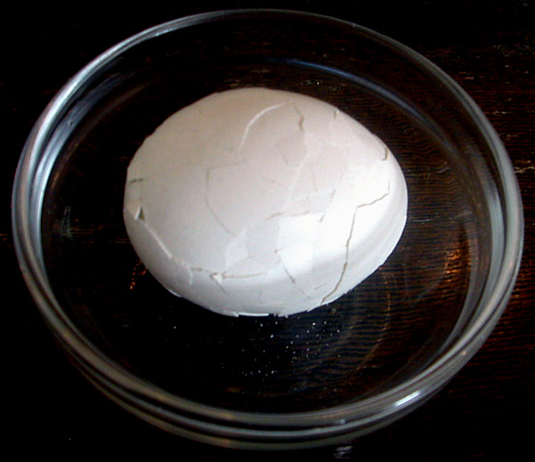 File:CodazziBoiledEgg2.jpg