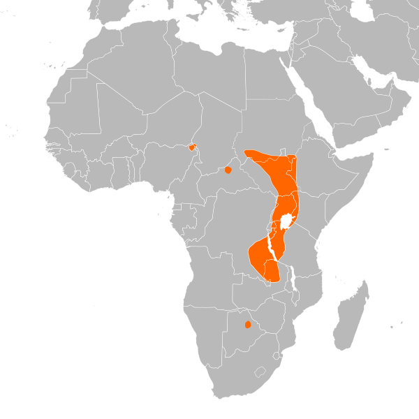 File:Balaeniceps rex distribution.svg