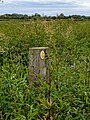 wikimedia_commons=File:Footpath marker post 2, Coombe Hill Nature Reserve.jpg