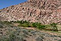 Red Spring, Calico Basin