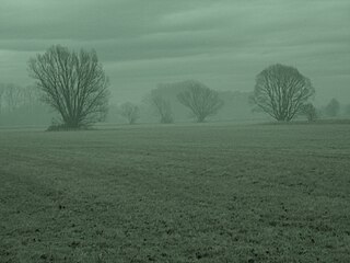 January 2007, East Bohemia, ČR