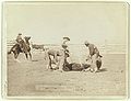 "Branding calves on roundup" (1888, LC-DIG-ppmsc-02632)