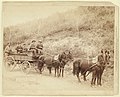 Wells Fargo Express Co. Deadwood Treasure Wagon and Guards with $250,000 gold bullion from the Great Homestake Mine, Deadwood, S.D., 1890 (1890, LC-DIG-ppmsc-02598)