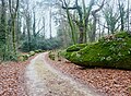 L'allée menant au château de Poulguin