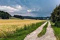 English: Rye field at Virunum Deutsch: Roggenfeld in Virunum