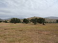 northeast of Taroudant, Sous Valley, Morocco