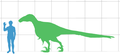 Utahraptor compared to a human.