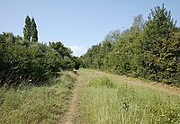 Chemin en bordure du Golf Lille Métropole, à Lezennes