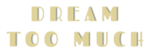 Dream Too Much