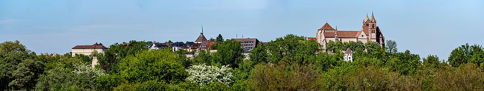 Blick auf die Stadt vom Kaiserstuhl