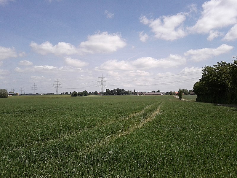 File:Blick in Richtung Westen auf Grotekittelstraße, Holtum - panoramio.jpg