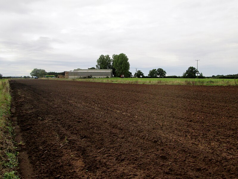 File:Landing Farm on North Cliffe Carr - geograph.org.uk - 4665108.jpg