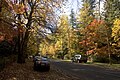 Autumn at Mount Wilson, New South Wales