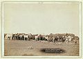 "Roping and changing." Changing horses on round up (1890, LC-DIG-ppmsc-02627)