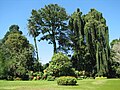 Jardin botanique de Peradeniya