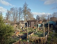 Jardins ouvriers, plaine de la Poterne, à Lille