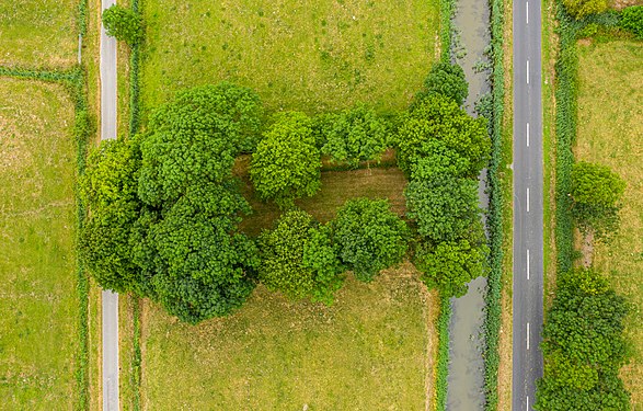 Der Jüdische Friedhof Jemgum liegt abseits des Ortes. Er ist ein Jüdischer Friedhof mit 13 Grabsteinen aus Sandstein aus dem Ende des 19. Jahrhunderts bis in die 30er Jahre des 20. Jahrhunderts; Anlage mit Bodenwölbung und umgebenden Baumbestand