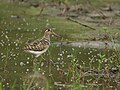 Male; Taoyuan County, Taiwan