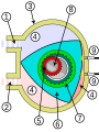 Diagram of Wankel engine