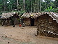 Pygmy houses made with sticks and leaves in northern Republic of the Congo