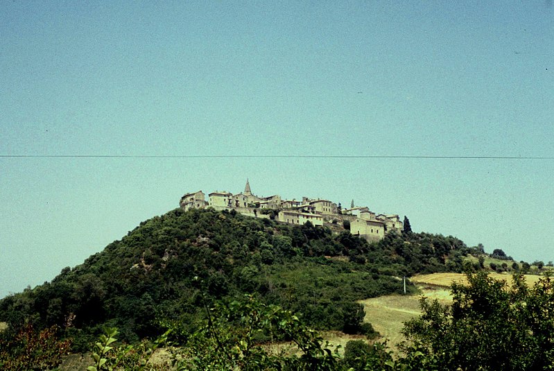 File:Tarn Puycelsi - panoramio.jpg