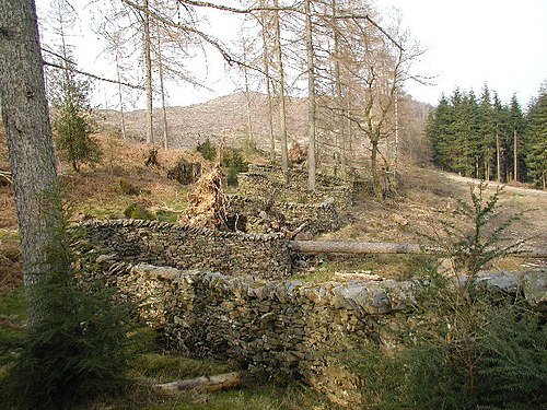 "Taking a Wall for a Walk" (2002)'' Andy Goldsworthy, Land art artists