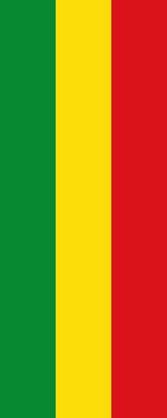 File:Flag green yellow red 2x5.svg