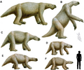 Thumbnail for File:Ground sloth size comparison.png