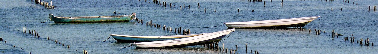 Fishermen's boats