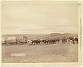 The last large bull train on its way from the railroad to the Black Hills (1890, LC-DIG-ppmsc-02504)