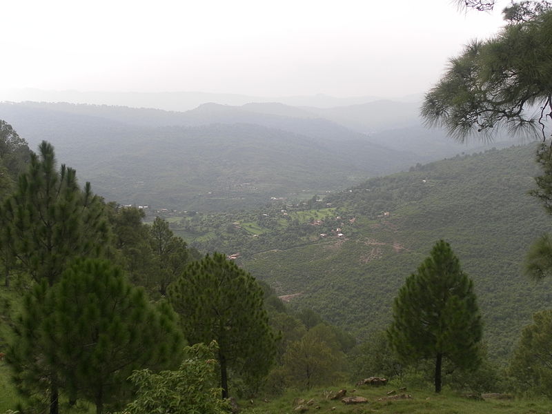 File:Bhurban muree.JPG