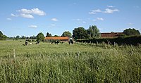 Le chemin de la Ferme de la Rive, à Bondues