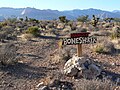 Boneshaker trail