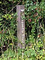 wikimedia_commons=File:Dragonfly trail marker, Coombe Hill Nature Reserve.jpg