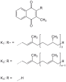 Deutsch: Struktur der K-Vitamine English: Structure of the vitamins K