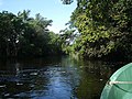 La rivière Hatiguanico dans les marais de Zapata